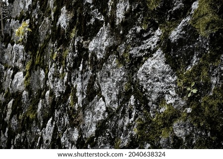 Abstract pattern and background texture