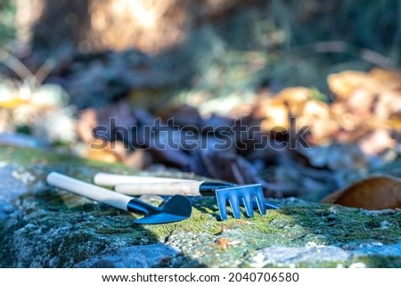 Mini garden tools with rocks, wild plants and moss background