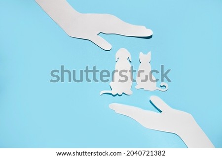 Paper silhouette of a cat and dog on a blue background. Veterinary or animal care.