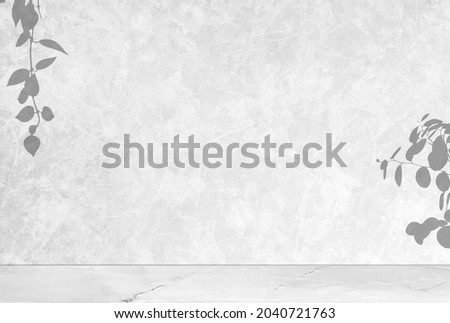 Interior Infographic Template with Shadow. Wall with wooden floor in a room