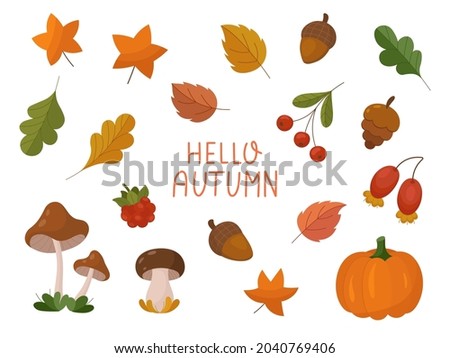 Autumn Leaves and fall elements set. Collection of fall leaves, acorns, vegetables, berries and mushrooms. Autumn vector clipart. 