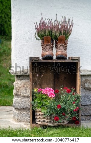 garden decoration in autumn with heather plants in walking boots