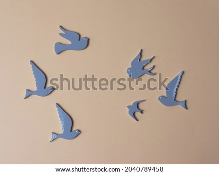 Top view, flatlay, lie concept view of color background with pigeon, background for children's party, Design of Greeting Card With Bird On, Pastel background For Stock Photos or Illustration