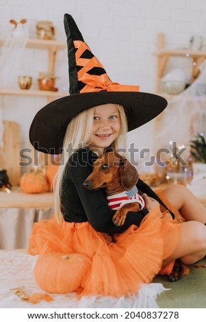 A blonde little girl in a witch costume in a huge witch hat and an orange puffy skirt holds a dwarf dachshund on her lap. Halloween concept. Space for text. High quality photo