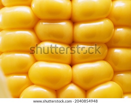 Super macro of corn grains.
Fresh corn with golden-colored grains in a green peel. Royalty-Free Stock Photo #2040854948