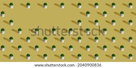 Seamless pattern made from plant in the pot on yellow background, Flat lay photo collage. home plants. green geomerty background. Seamless minimalistic isometric pattern
