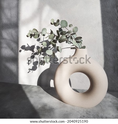Eucalyptus branch in a stylish round vase. Shadows on the wall. Interior decoration concept. Copy space