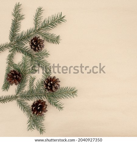 Spruce twigs with brown cones with copy space

