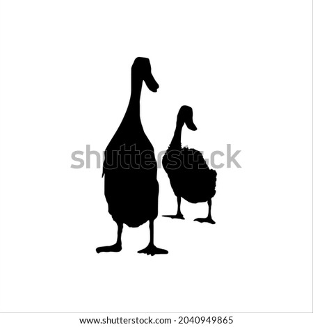 a Pair of Duck (Couple Duck) Silhouette Illustration for Logo or Graphic Design Element. Vector Illustration