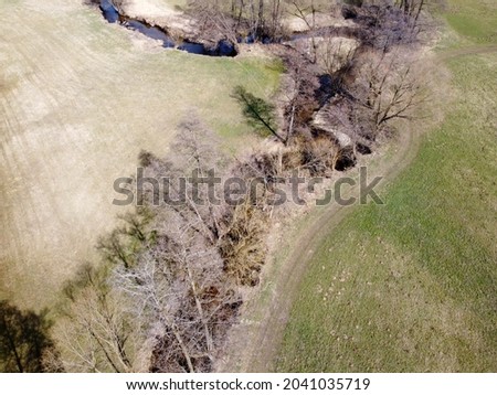 A drone view of a small dead trees and some herbs in a village land in a sunny day