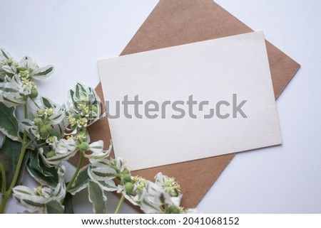 invitation card mockup  with sedum. 
deciduous plants with white and green leaves. flowers