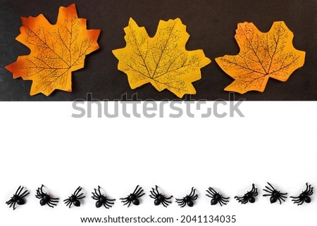 Halloween holiday. Flatly on a black and white background. Copyspace. Yellow leaves and spiders in a row.