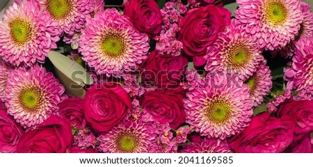 Beautiful Magenta Floral background. Composition of rose flowers and chrysanthemum. Wide Angle bright Wallpaper for birthday, anniversary, mother's day, Valentines Day. Celebration Poster of flowers