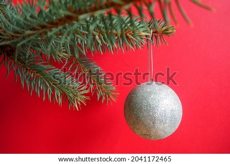 a gray round ball hangs on a branch of a green Christmas tree on a red background . side view . Christmas