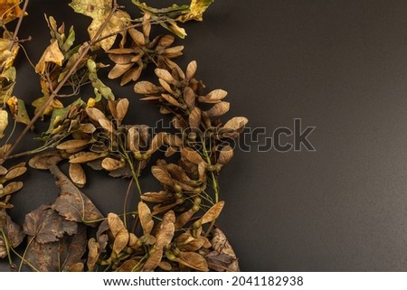 Tree branches with yellow leaves. Autumn black stone concrete background, top view