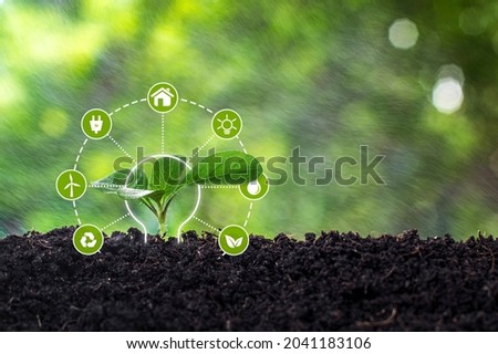 Renewable and sustainable energy sources concept.Green trees planted in perfect soil, Agricultural Development Research. Green plant farming technology background.
 Royalty-Free Stock Photo #2041183106