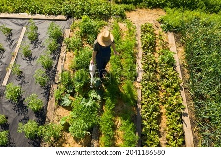 A young man in a straw hat is standing in the middle of his beautiful green garden, covered in black garden membrane, view from above. A male gardener is watering the plants with watering can Royalty-Free Stock Photo #2041186580