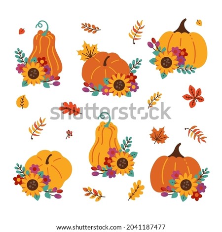 Hand drawn vector set of various pumpkins decorated with sunflower and autumn leaves isolated on white. Fall season illustration. Elements for autumn decorative design, halloween invitation, harvest, 