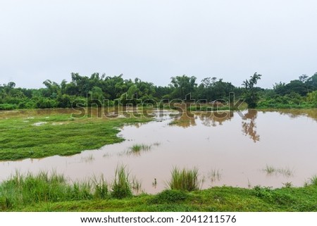 Aerial view river flood forest nature woodland area green tree, Top view river lagoon pond with water flood from above, landscape jungles lake flowing wild water after the rain