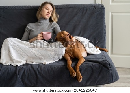 Depressed middle aged woman avoid social contacts stay lonely at home with dog after friend betrayal, lover breakup, divorce with husband or family member death. Tired widow drinking tea petting pet Royalty-Free Stock Photo #2041225049