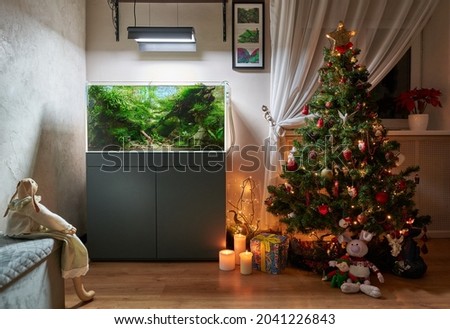 Glowing Christmas tree with aquascape aquarium. Toy rabbit looks aquascape, burning candles and gifts. Rabbit below tree hugs a little elf.        Royalty-Free Stock Photo #2041226843
