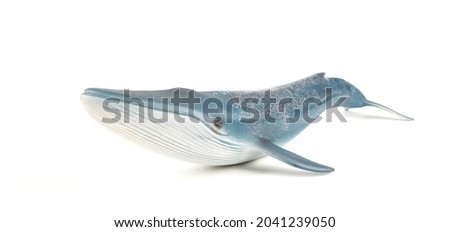 Blue Whale on White Background Royalty-Free Stock Photo #2041239050