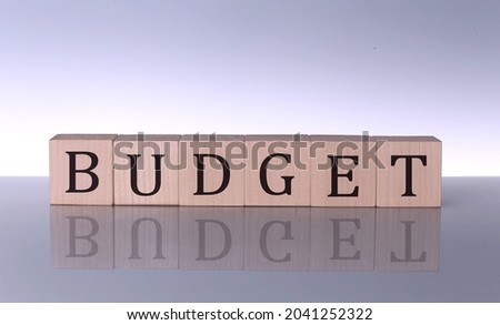 BUDGET concept, wooden word block on grey background