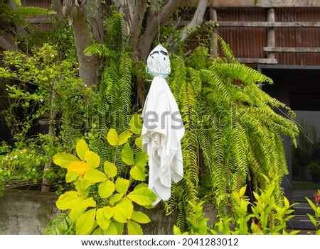 Traditional japanese doll in rain season. Handmade Teru Teru Bozu hanging on tree in the garden. Natural. A mascot craft.