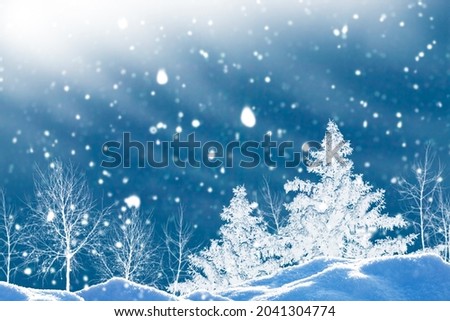 Frozen winter forest with snow covered trees. outdoor. Greeting card. 