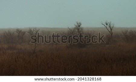Tree silhouettes in the dark field Royalty-Free Stock Photo #2041328168