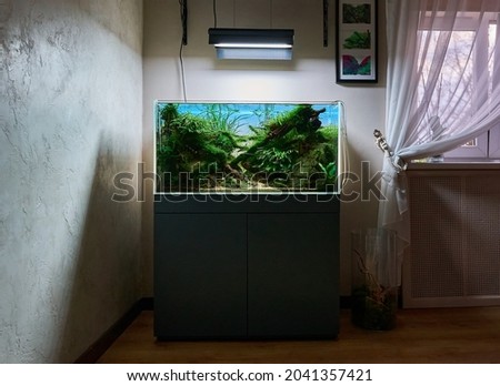 Freshwater aquascape with live aquarium plants, Frodo stones,  redmoor roots covered by java moss and Diamond tetra fish. Also there is Ludwigia Super Red, Trident fern, Anubias mini, Rotala, Cyperus. Royalty-Free Stock Photo #2041357421
