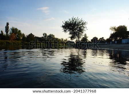 Scenic view of a tree growing by the riverbank of river Pilica at sunrise, sunset. Tomaszow Mazowiecki, Poland, Europe              
