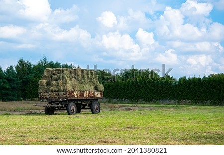 a cart with hay, a farm trailer with hay in the meadow