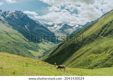 Photo of the mountains in Pitztal Austria