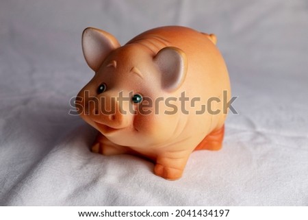 Funny toy rubber pig on a white background