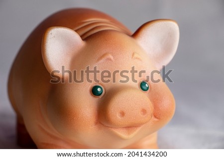 Funny toy rubber pig on a white background