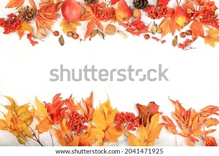 Frame with maple leaves, pine cones, nuts, apples, pears and rowan berries, autumn abstract composition with place for text, thanksgiving day concept, seasonal background, banner, greeting card,