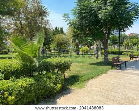 New beautiful modern park with green plants, tropical trees and bushes. Resting place in the city.