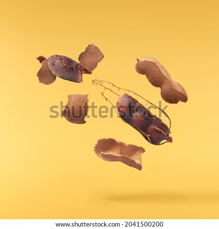 Fresh ripe tamarind fruit falling in the air isolated on white background. High resolution image. Food levitation concept