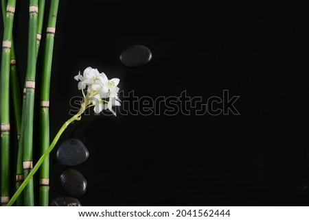 Spa stones and branch white orchid and bamboo stem on black background