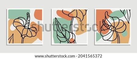 Botanical art composition set. Collection of posters with contour flowers, colorful spots and lines. Design for wall decoration and printing on fabric. Cartoon flat vector collage isolated on white