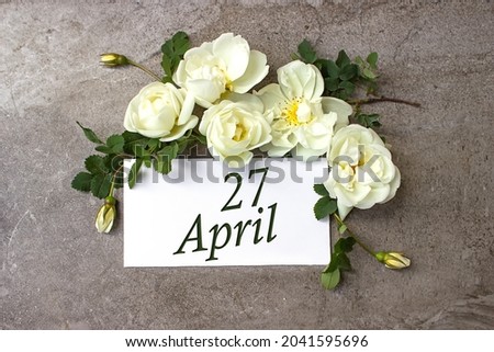 April 27th. Day 27 of month, Calendar date. White roses border on pastel grey background with calendar date. Spring month, day of the year concept