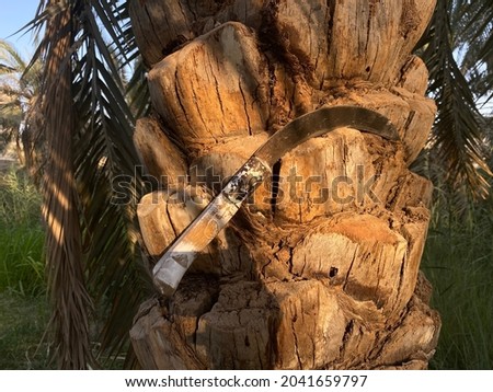 closeup photo of rusty sickle stabbed in the tree stem