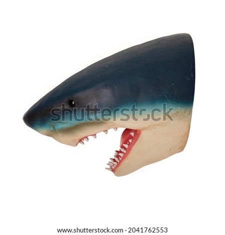 shark head model on white background