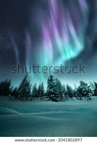 The Aurora Northern Lights flicker in the winter night sky above a forest in Sweden. Photo Composite.