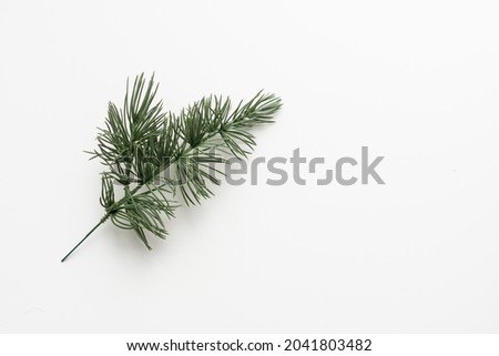 pine branch isolated on white Royalty-Free Stock Photo #2041803482