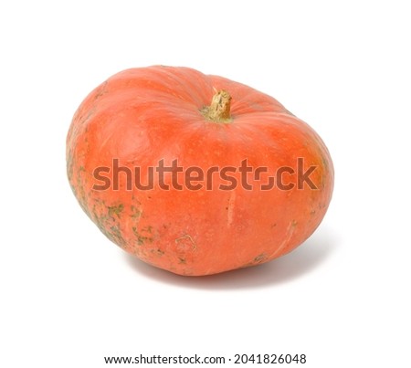 big orange whole pumpkin isolated on a white background, tasty and healthy vegetable