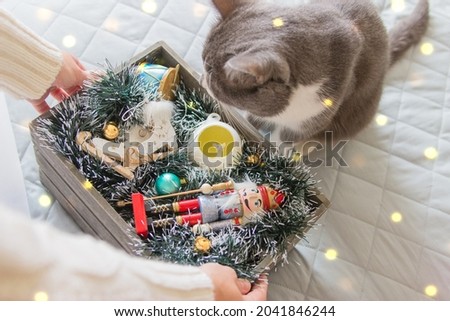 Point of view womans hand cat christmas storage bokeh