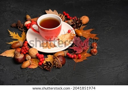 Tea cup, acorns, autumnal leaves, nuts and cones on black background. fall time. Symbol of autumn harvest season. thanksgiving, mabon, halloween concept.
