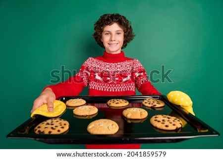Photo of cheerful boy demonstrate tray cookies wear deer ornament sweater isolated green color background